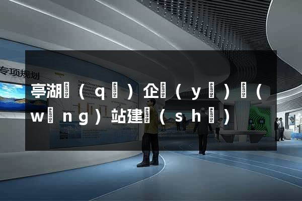 亭湖區(qū)企業(yè)網(wǎng)站建設(shè)