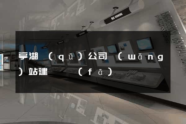 亭湖區(qū)公司網(wǎng)站建設開發(fā)