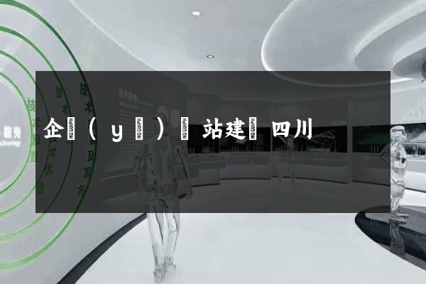 企業(yè)網站建設四川