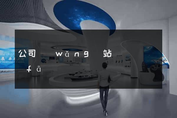 公司網(wǎng)站設計與開發(fā)