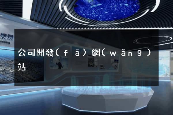 公司開發(fā)網(wǎng)站