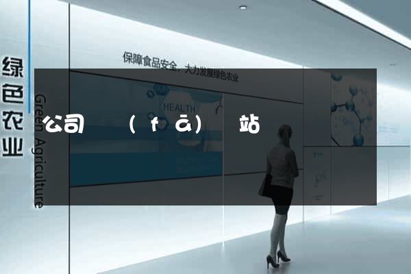 公司開發(fā)網站