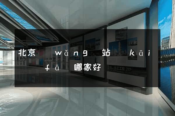 北京網(wǎng)站開(kāi)發(fā)哪家好