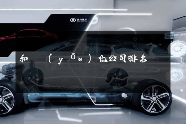 和縣優(yōu)化公司排名