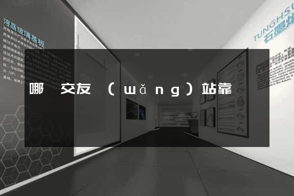 哪個交友網(wǎng)站靠譜