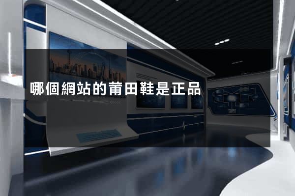 哪個網站的莆田鞋是正品