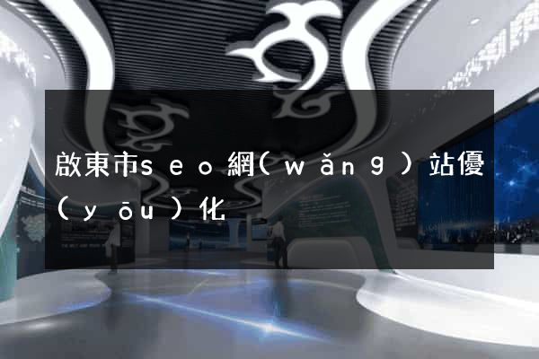 啟東市seo網(wǎng)站優(yōu)化