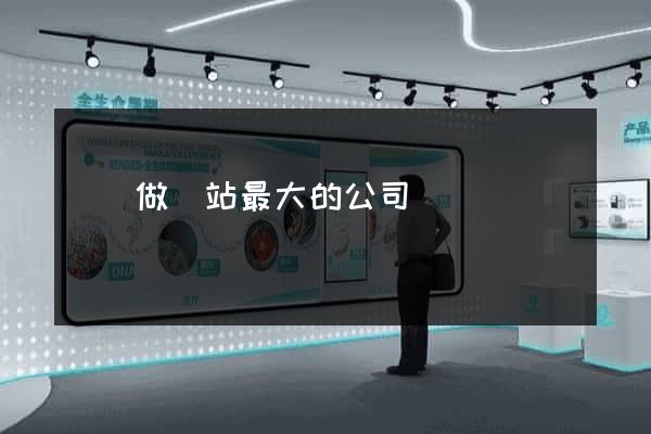 國內做網站最大的公司