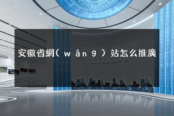 安徽省網(wǎng)站怎么推廣