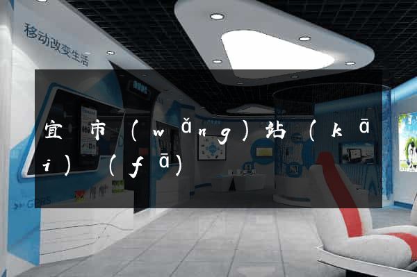 宜興市網(wǎng)站開(kāi)發(fā)