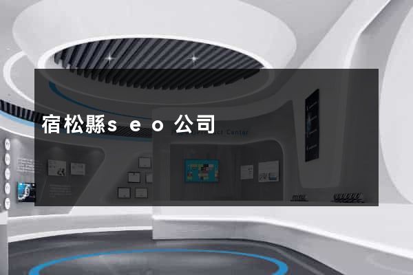 宿松縣seo公司