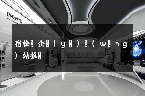 宿松縣企業(yè)網(wǎng)站推廣