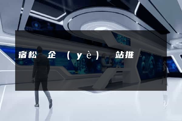 宿松縣企業(yè)網站推廣