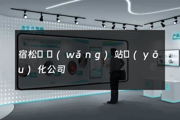 宿松縣網(wǎng)站優(yōu)化公司