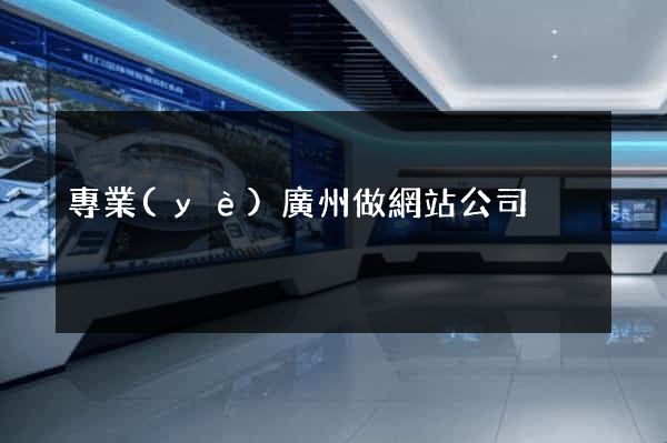 專業(yè)廣州做網站公司