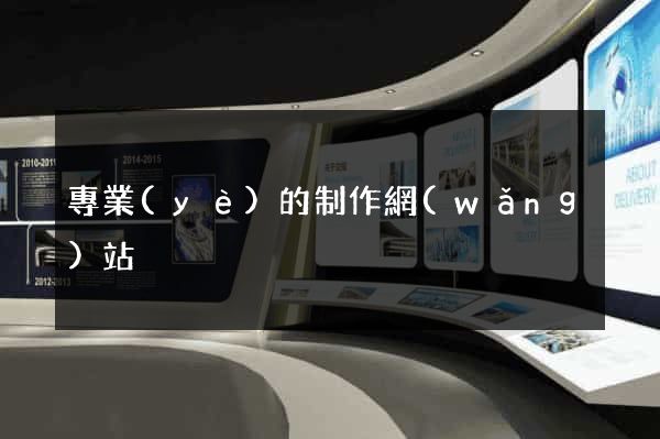 專業(yè)的制作網(wǎng)站