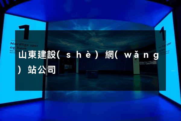 山東建設(shè)網(wǎng)站公司