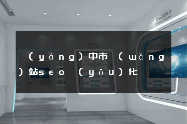 揚(yáng)中市網(wǎng)站seo優(yōu)化