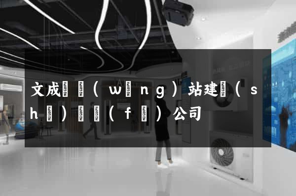 文成縣網(wǎng)站建設(shè)開發(fā)公司