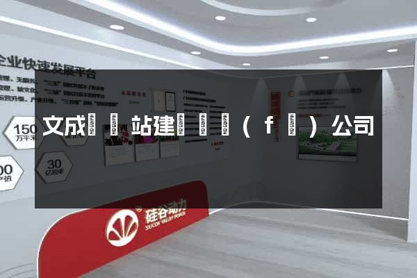 文成縣網站建設開發(fā)公司