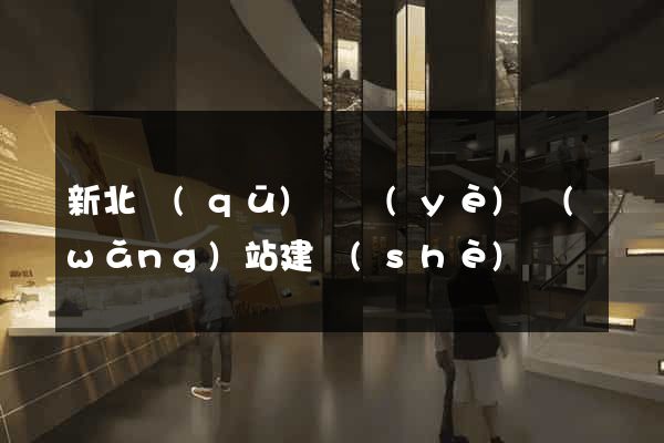 新北區(qū)專業(yè)網(wǎng)站建設(shè)