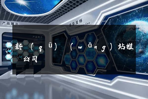 新區(qū)網(wǎng)站推廣公司