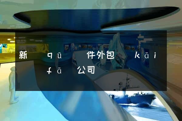 新區(qū)軟件外包開(kāi)發(fā)公司