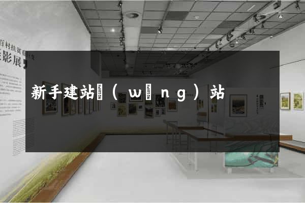新手建站網(wǎng)站