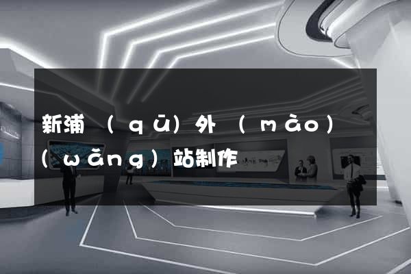 新浦區(qū)外貿(mào)網(wǎng)站制作