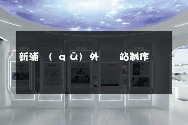 新浦區(qū)外貿網站制作