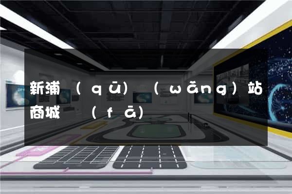 新浦區(qū)網(wǎng)站商城開發(fā)
