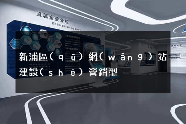 新浦區(qū)網(wǎng)站建設(shè)營銷型