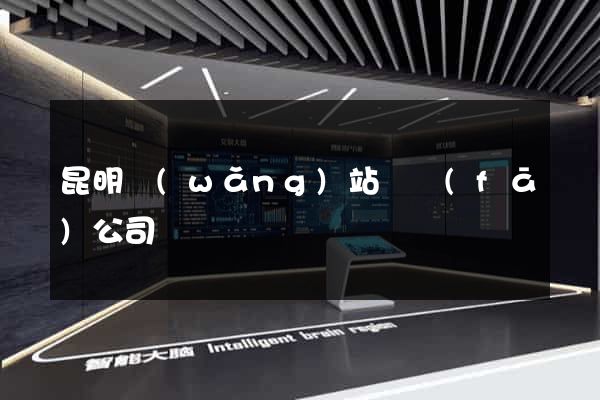 昆明網(wǎng)站開發(fā)公司