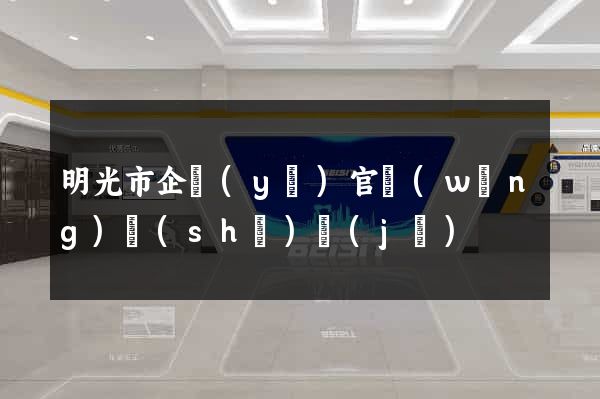 明光市企業(yè)官網(wǎng)設(shè)計(jì)
