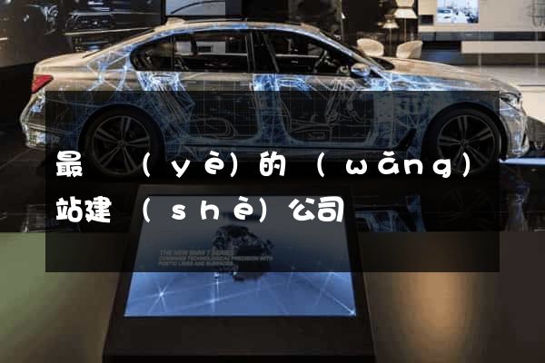 最專業(yè)的網(wǎng)站建設(shè)公司