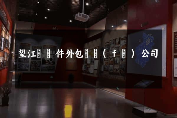 望江縣軟件外包開發(fā)公司