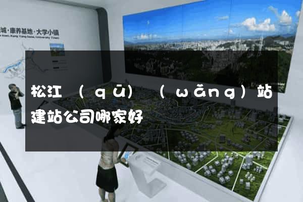 松江區(qū)網(wǎng)站建站公司哪家好