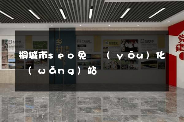 桐城市seo免費優(yōu)化網(wǎng)站