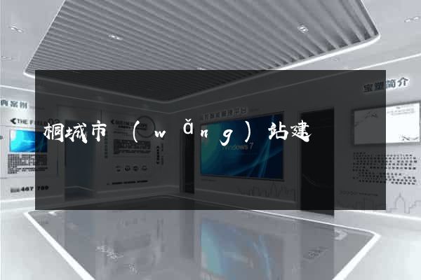 桐城市網(wǎng)站建設