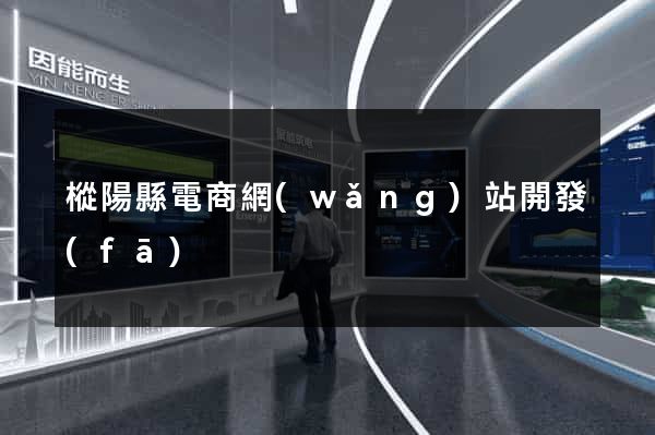 樅陽縣電商網(wǎng)站開發(fā)