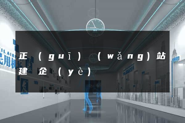正規(guī)網(wǎng)站建設企業(yè)