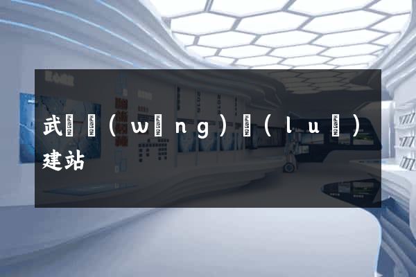 武漢網(wǎng)絡(luò)建站