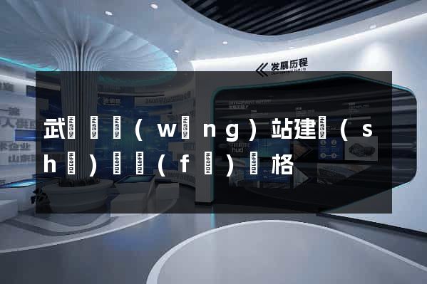 武義縣網(wǎng)站建設(shè)開發(fā)價格