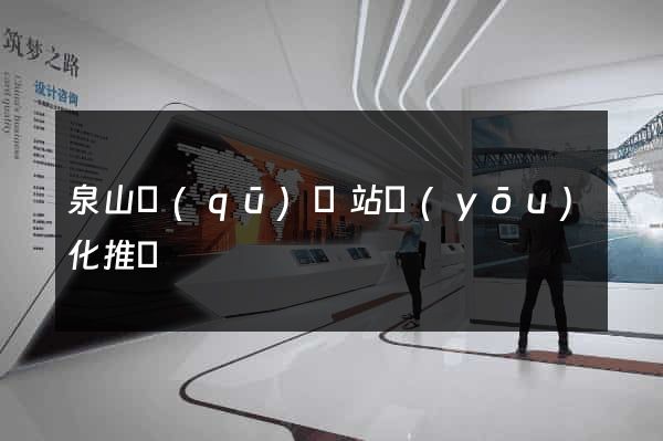 泉山區(qū)網站優(yōu)化推廣