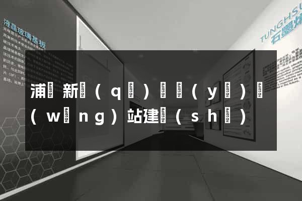 浦東新區(qū)專業(yè)網(wǎng)站建設(shè)