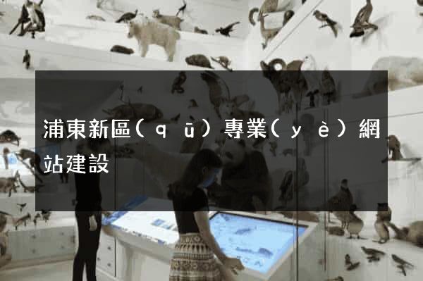 浦東新區(qū)專業(yè)網站建設