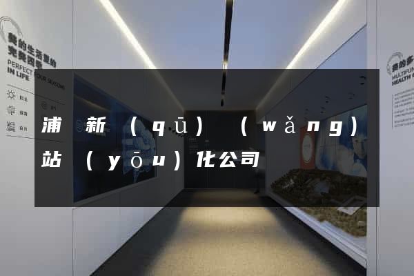 浦東新區(qū)網(wǎng)站優(yōu)化公司