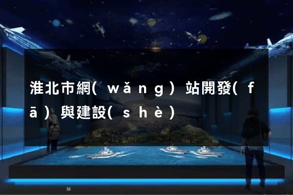 淮北市網(wǎng)站開發(fā)與建設(shè)