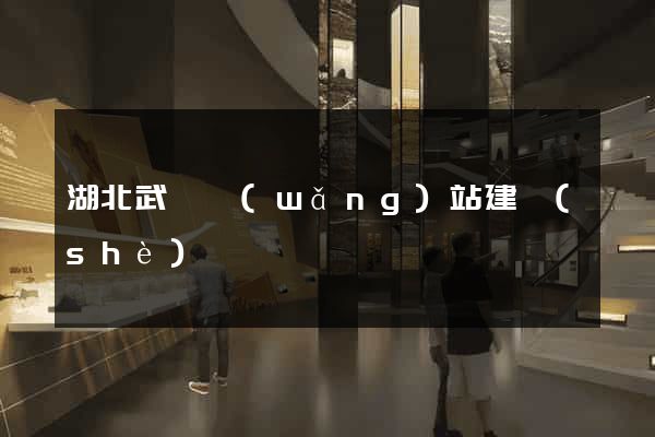 湖北武漢網(wǎng)站建設(shè)