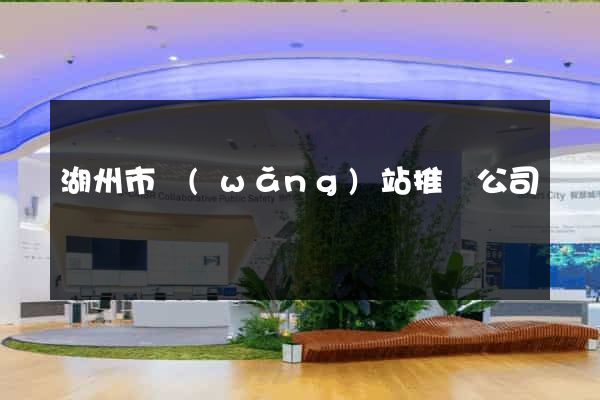 湖州市網(wǎng)站推廣公司